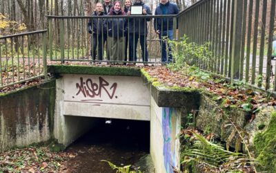 Hochwasser-Monitoring in Arnsberg gestartet