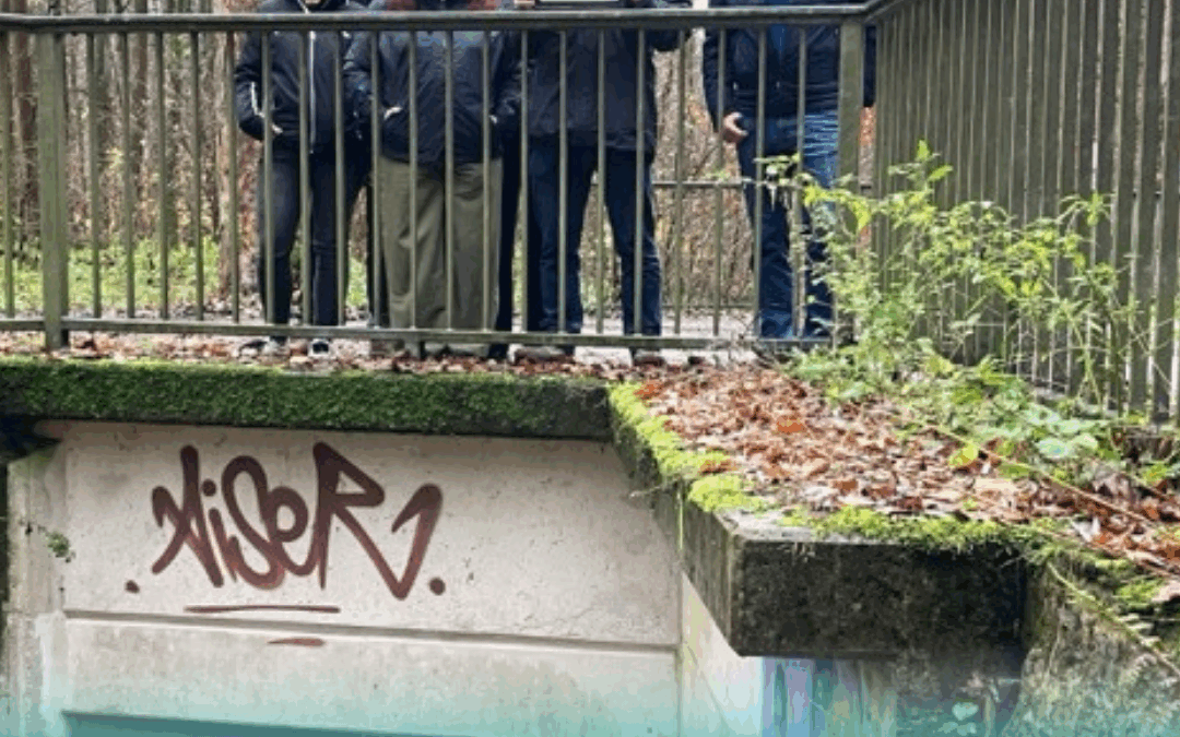 Hochwasser-Monitoring in Arnsberg gestartet